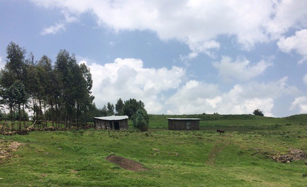 Vaesus, Etioopia 2015